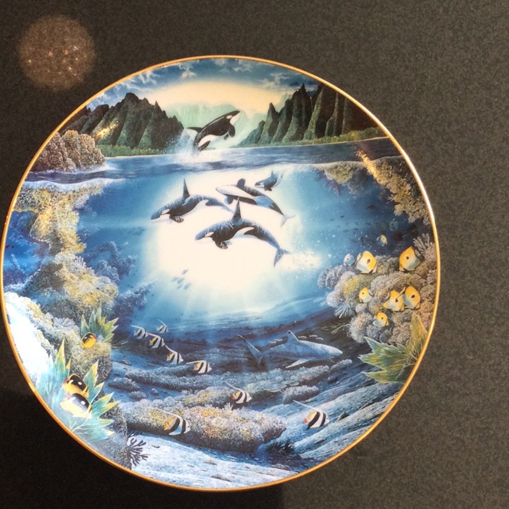 The Danbury Mint’ Sunlit Glow ‘ Decorative Plate